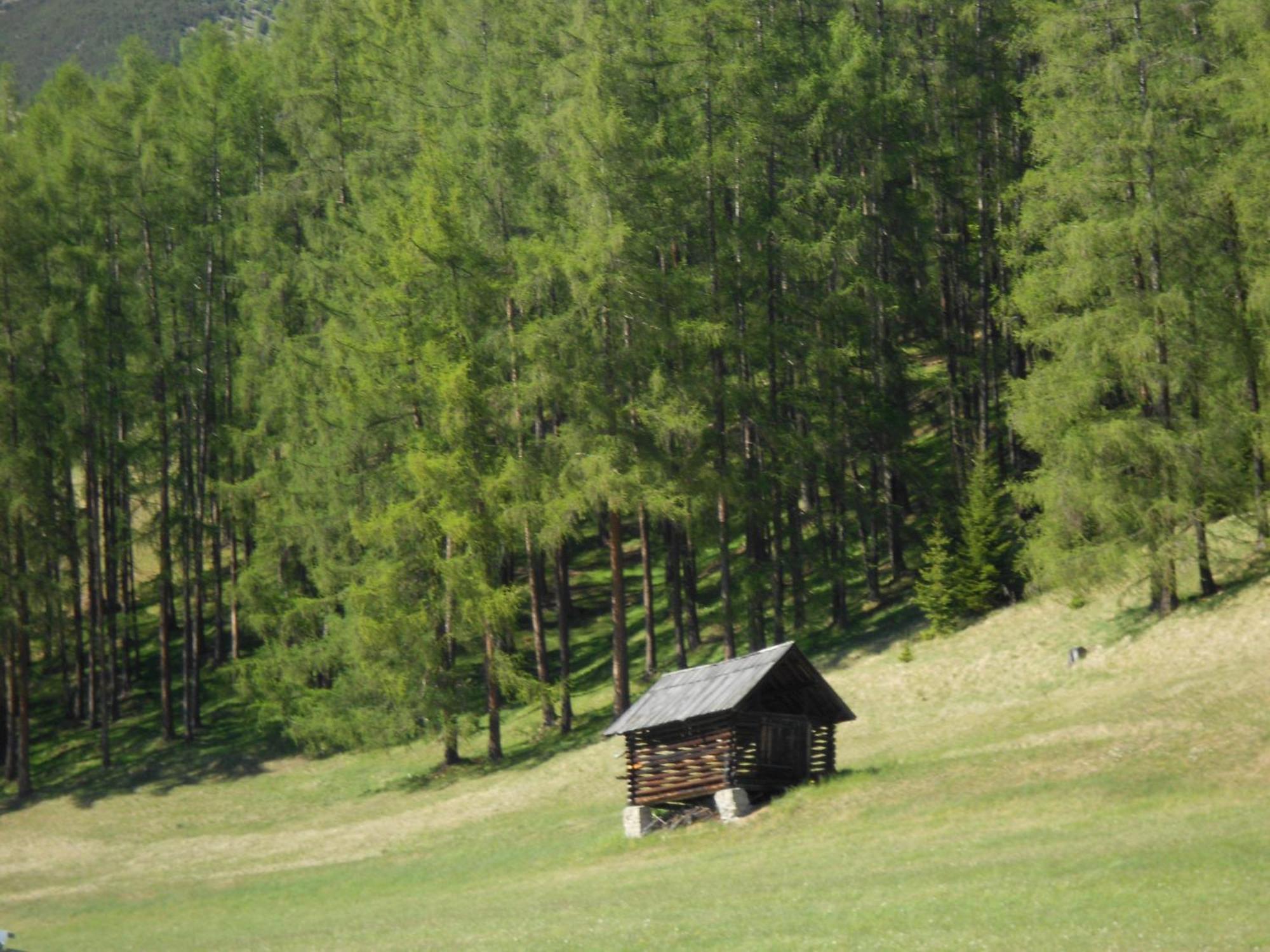 Haus Thurner อ็อบชไตก์ ภายนอก รูปภาพ