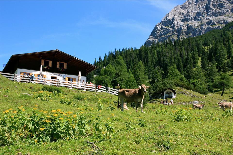 Haus Thurner อ็อบชไตก์ ภายนอก รูปภาพ